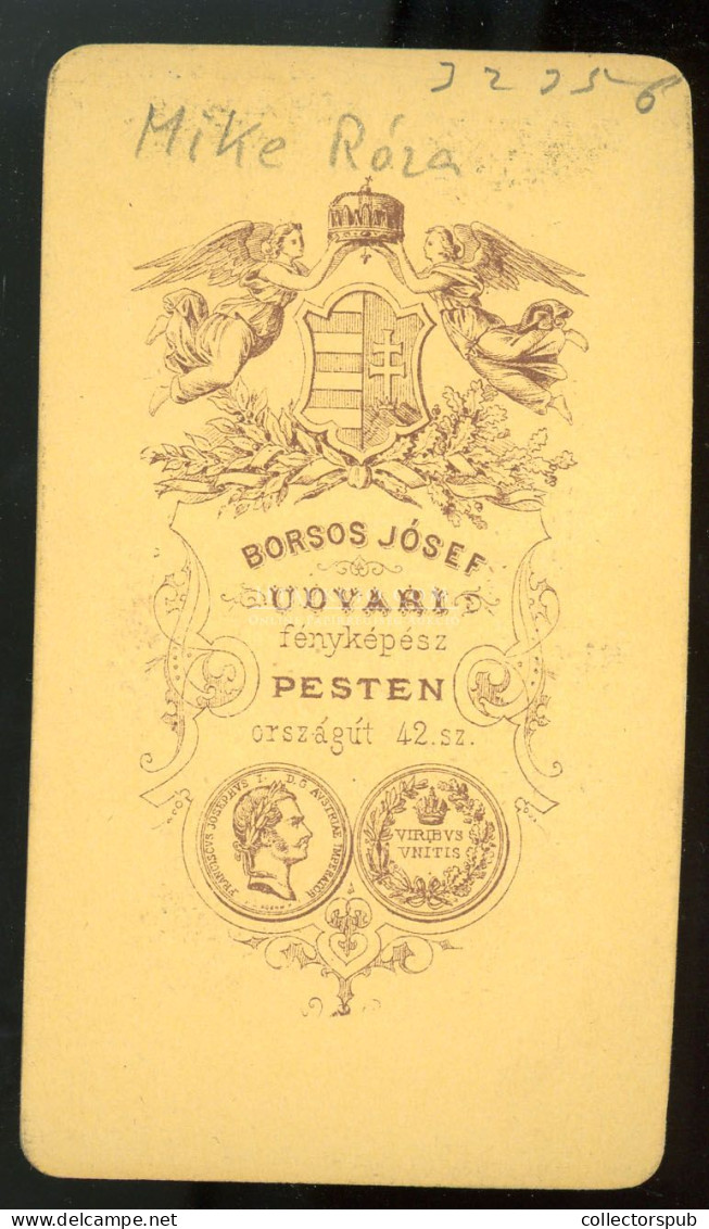 PEST 1868. Borsos : Mike Róza,  Al-torjai Mike Sándor Történésznek Lánya  Visit Fotó - Alte (vor 1900)