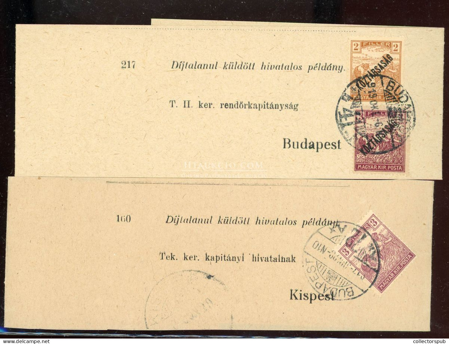 BUDAPEST 1917-19. 2db, Szép Teljes Címszalag - Covers & Documents