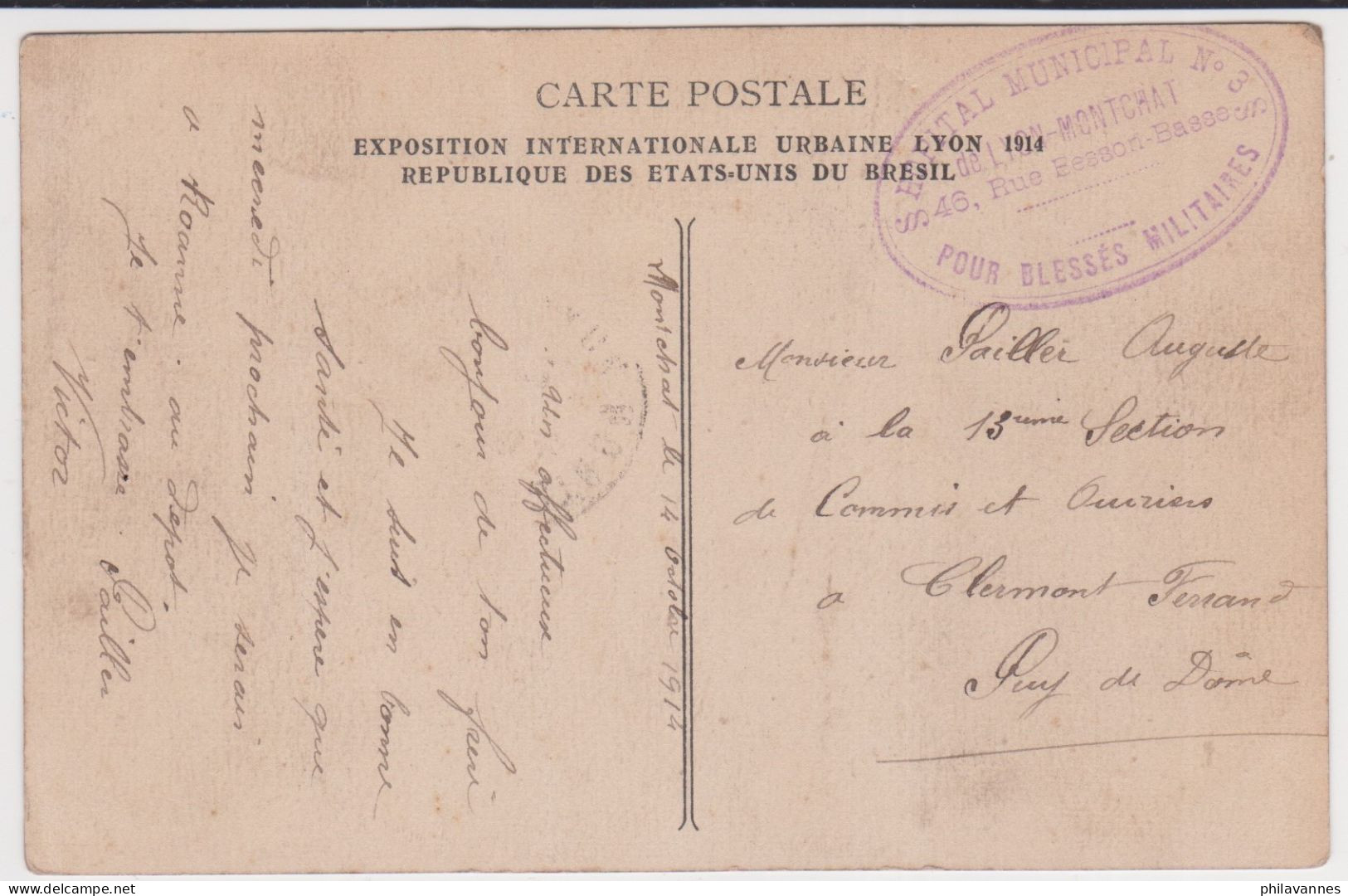 Bresil, Carte De RIO, Jardin Botanique, 1914,HOPITAL MUNICIPAL N°3, LYON MONTCHAT( B/009) - Airmail