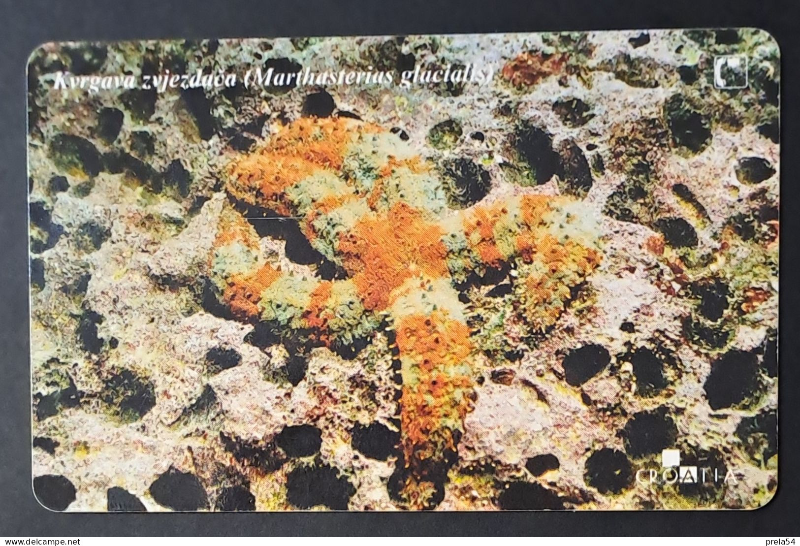 Croatia  - Adriatic Undersea World Chip Card Used - Croatie