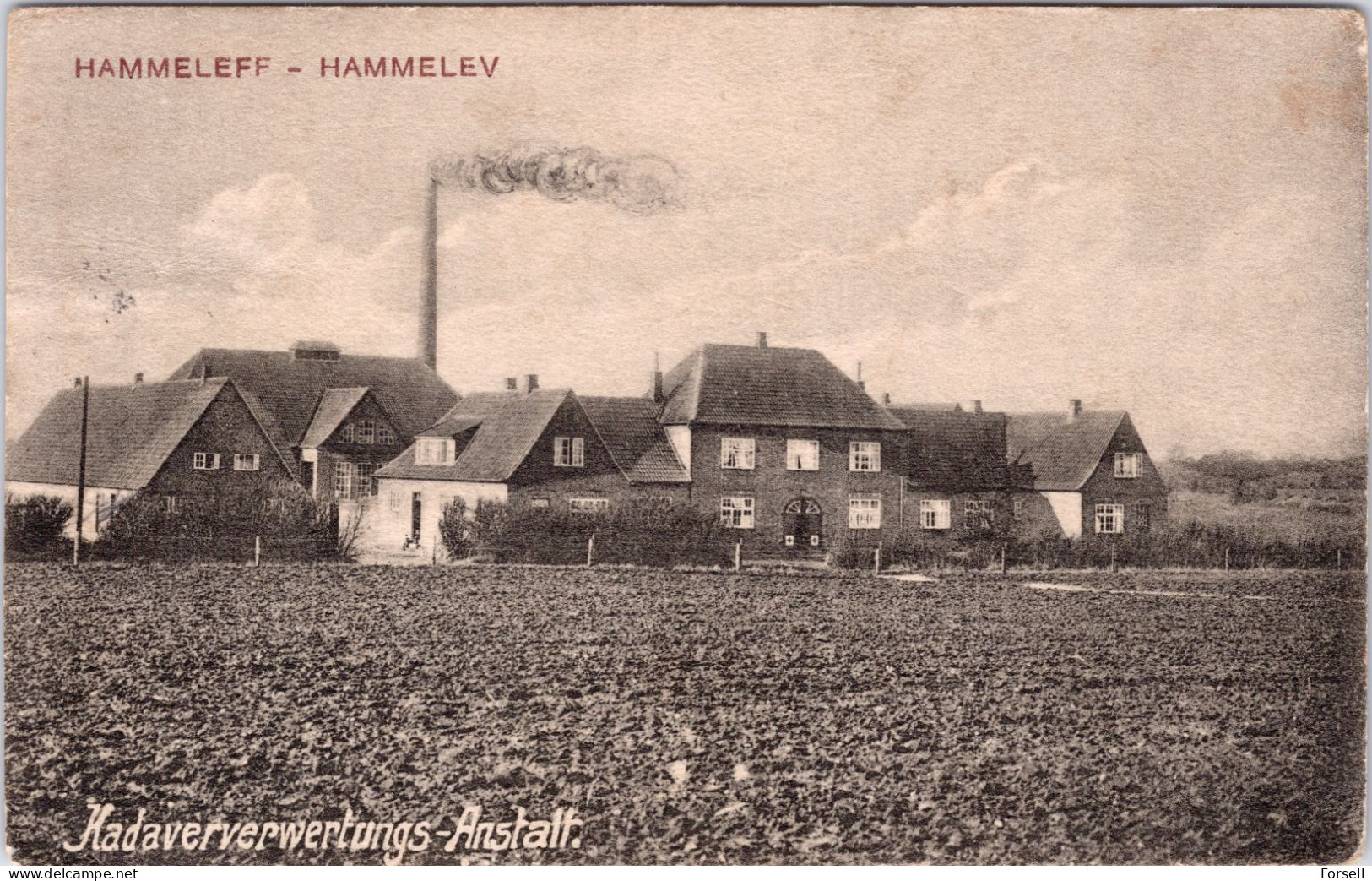 Hammeleff , Kadaververwertungs-Anstalt (Gelaufen 1915, Nordschleswig) - Danemark
