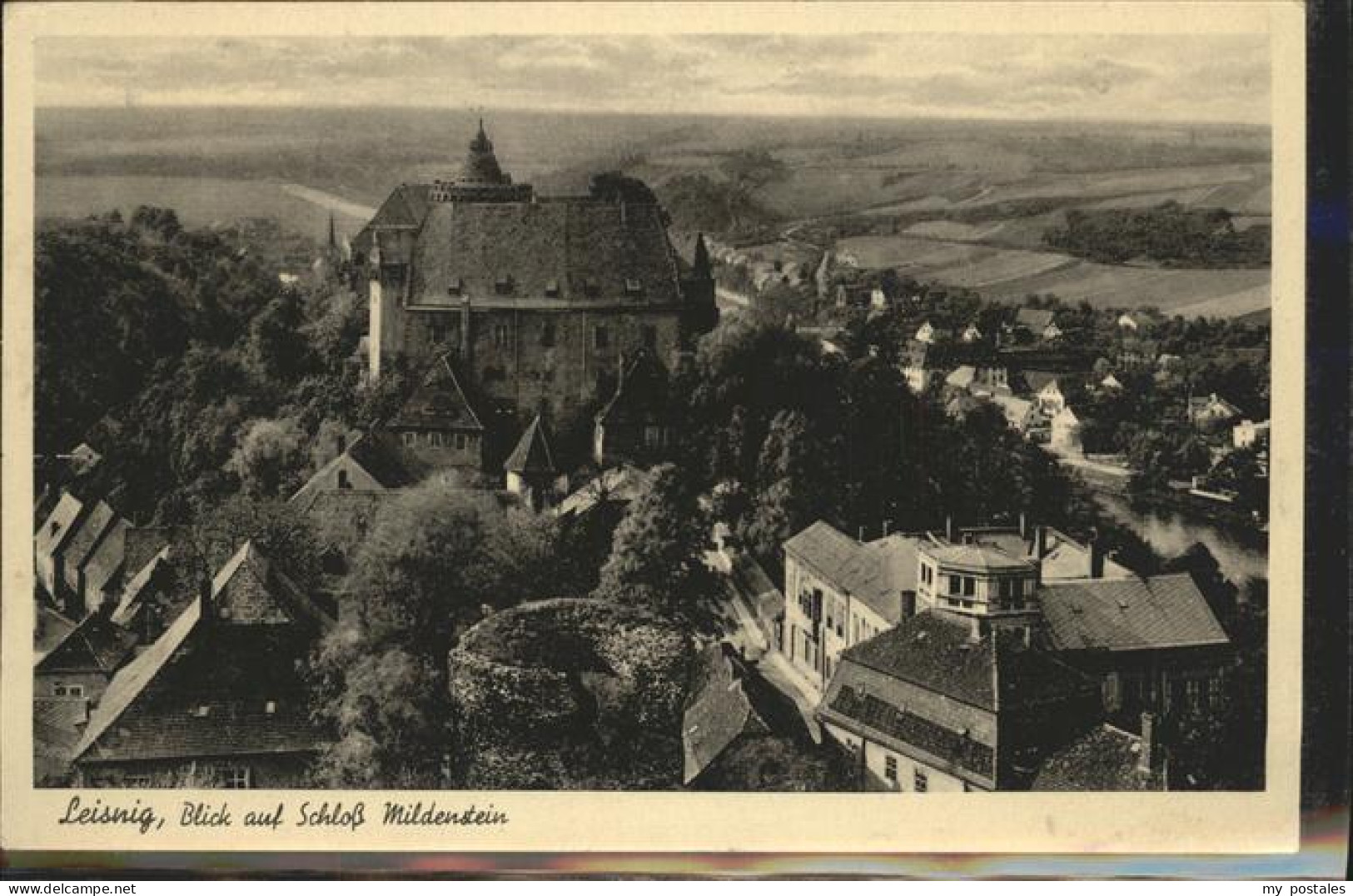 41331470 Leisnig Panorama Schloss Mildenstein Feldpost Leisnig NZ4 - Leisnig