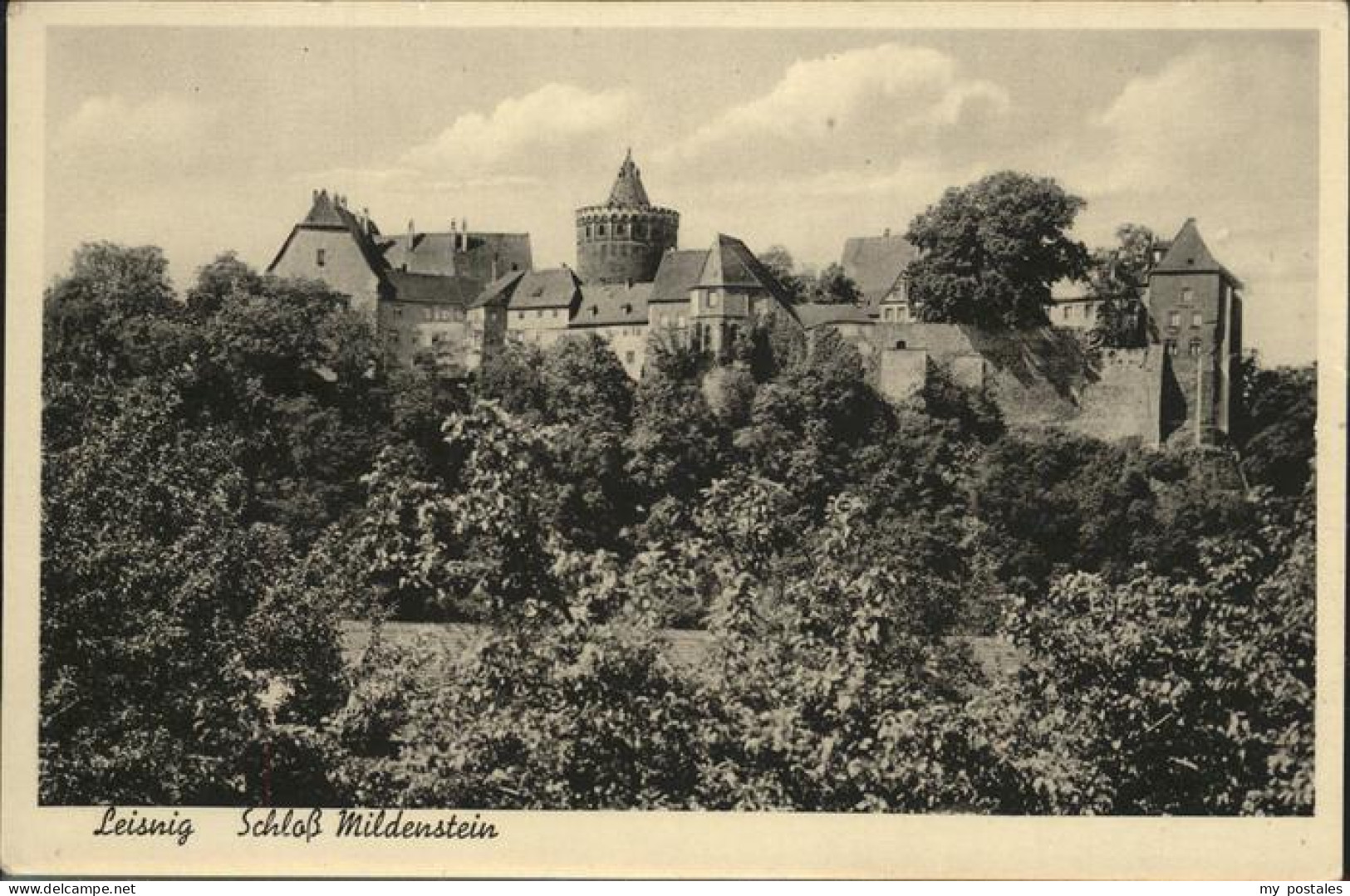 41331386 Leisnig Schloss Mildenstein Leisnig - Leisnig