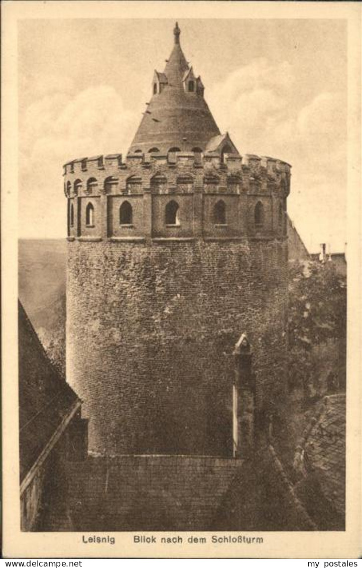 41331385 Leisnig Schloss Mildenstein Turm Leisnig - Leisnig