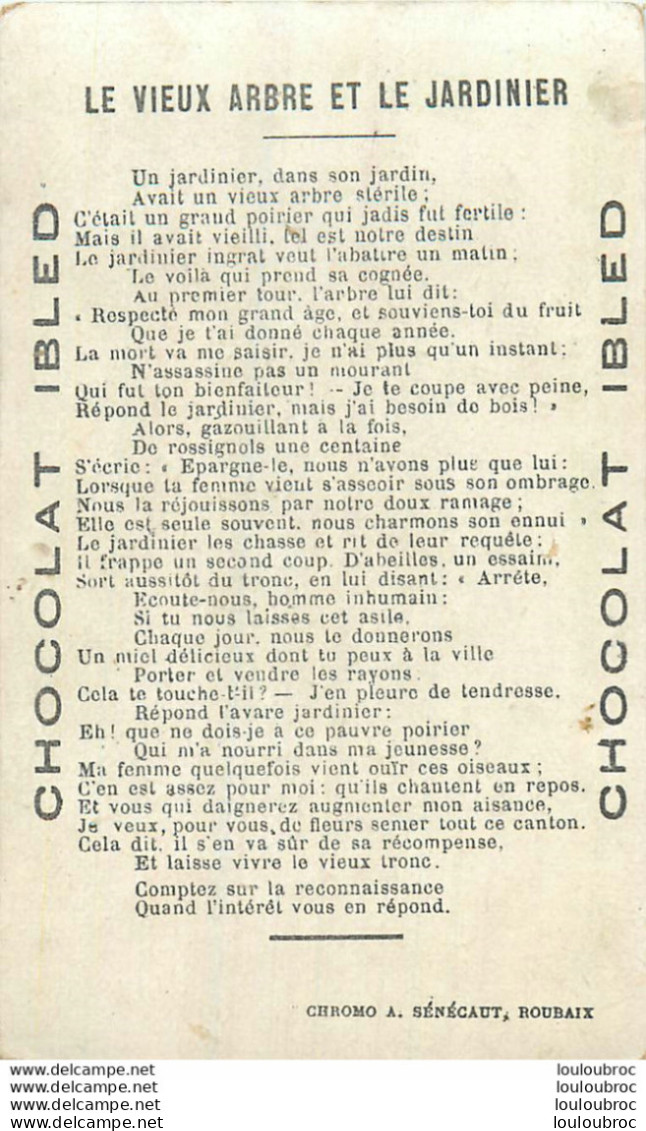CHROMO CHOCOLAT IBLED LE VIEUX ARBRE ET LE JARDINIER   (FLORIAN) EDITION SENECAUT ROUBAIX - Ibled