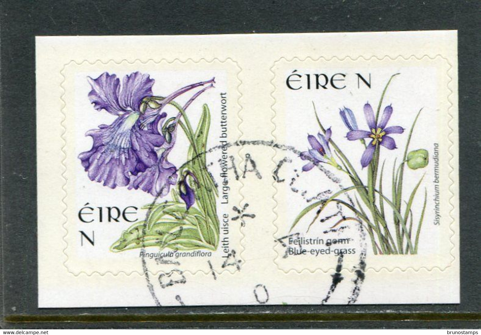 IRELAND/EIRE - 2007   N   FLOWERS  SELF ADHESIVE  SET  FINE USED - Used Stamps