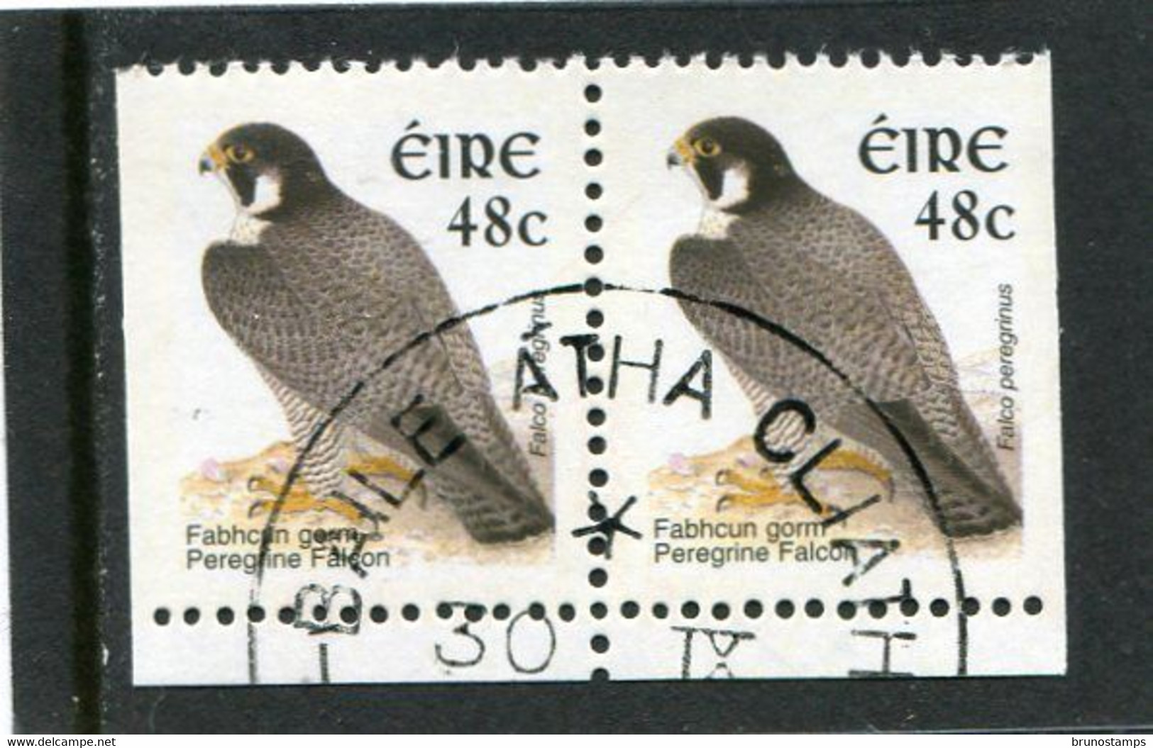IRELAND/EIRE - 2003  48c  BIRDS  SMALLER SIZE PAIR  EX BOOKLET  FINE USED - Used Stamps