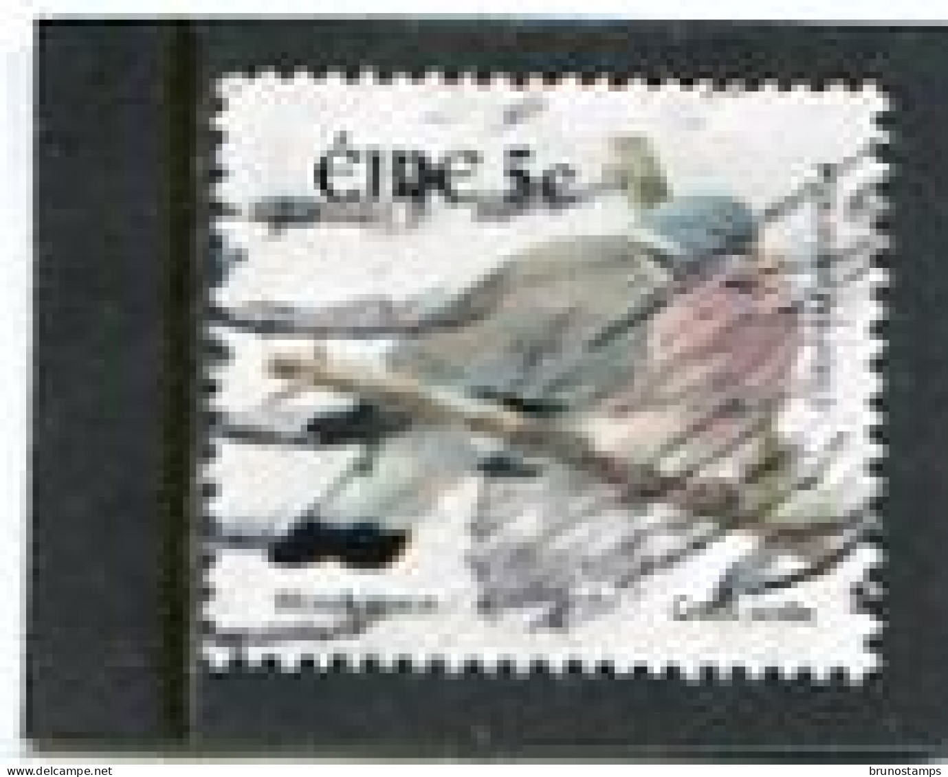 IRELAND/EIRE - 2002  5c  BIRDS  FINE USED - Usados