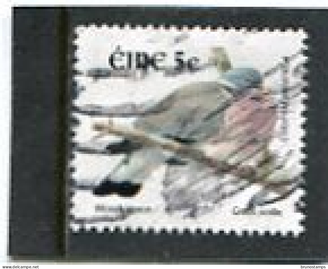IRELAND/EIRE - 2002  5c  BIRDS  FINE USED - Oblitérés