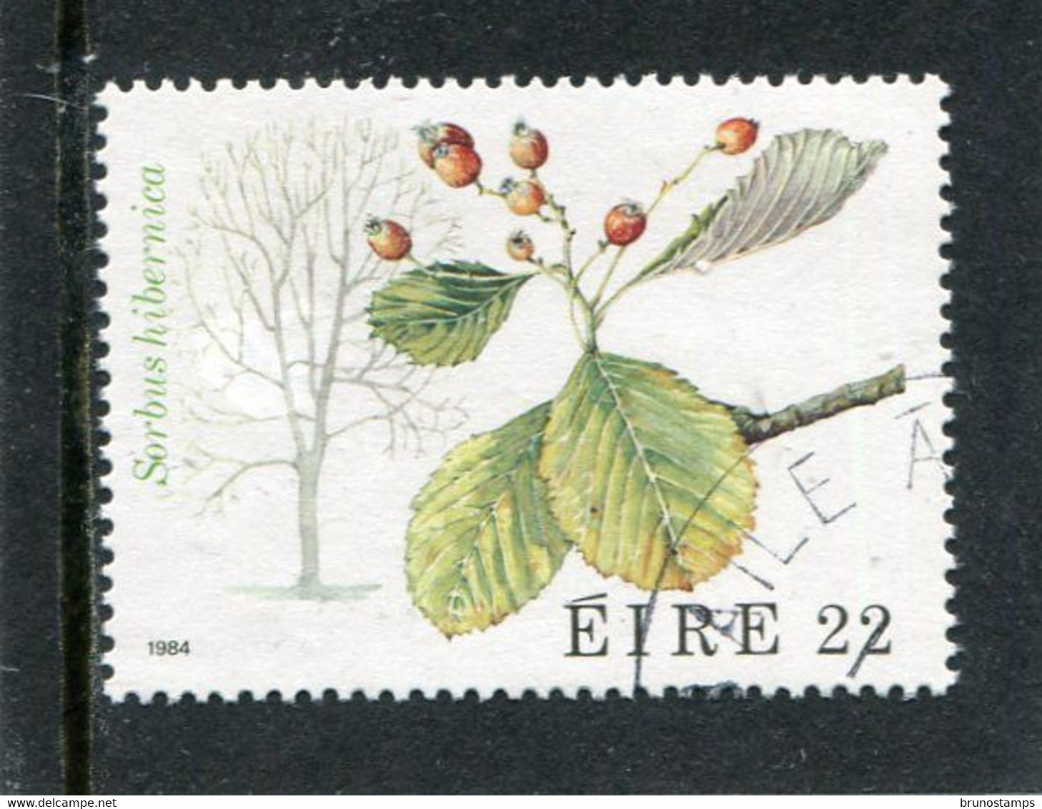 IRELAND/EIRE - 1984   22p  TREES  FINE USED - Used Stamps