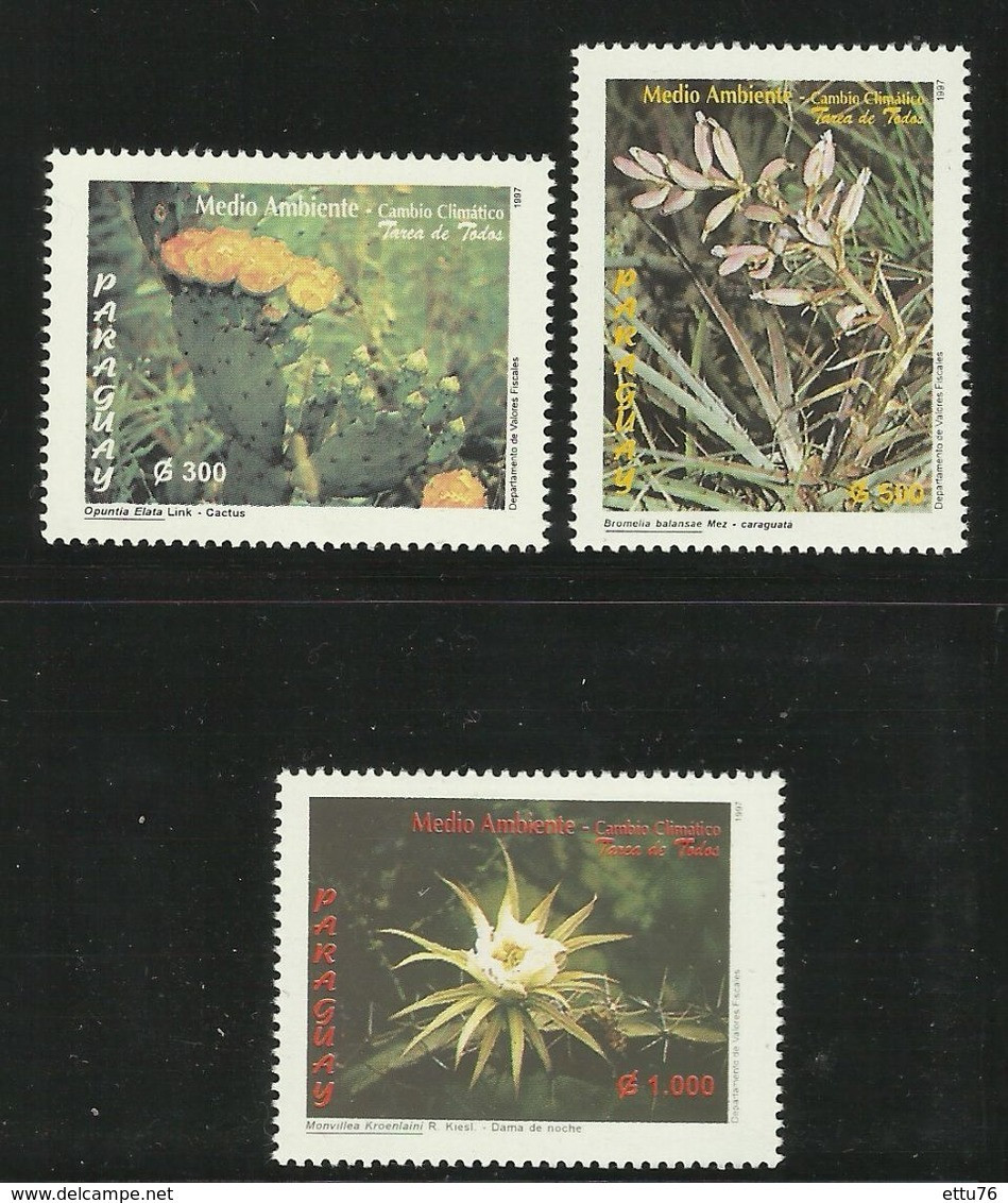 Paraguay 1997 Cacti,Flowers  Set   MNH - Sukkulenten