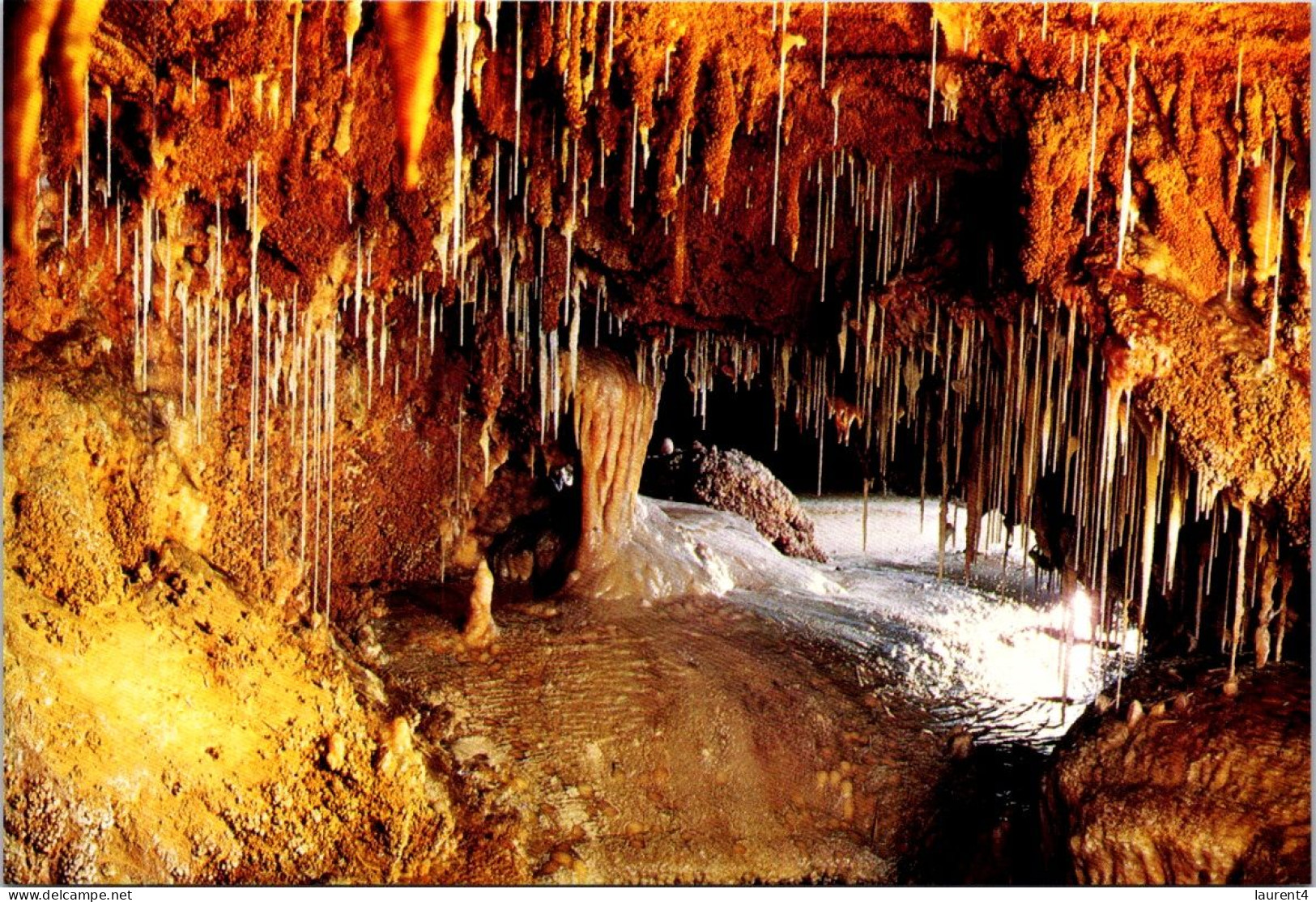 24-1-2024 (2 X 15) Australia (2 Pre-pai Maxicqrd) - NSW - Jenelan Caves & Tweed Valley - Andere & Zonder Classificatie