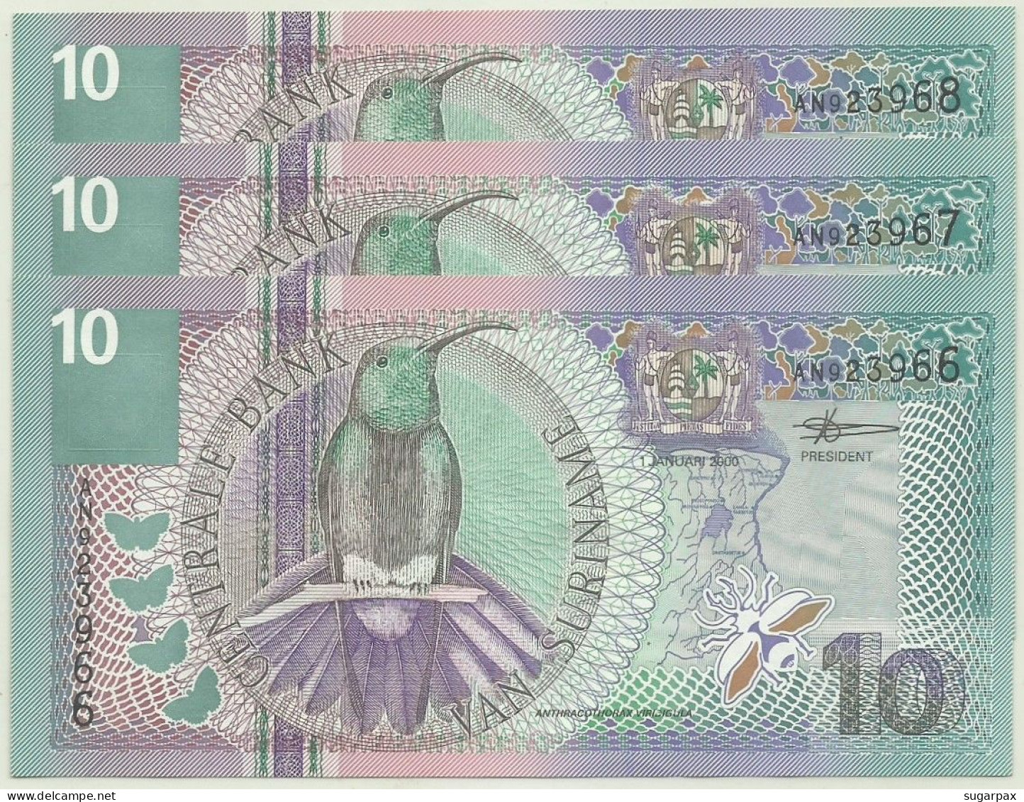 Suriname - 3 X 10 Gulden - 1 Januari 2000 - Pick 147 - Unc. - Serie AN - Suriname