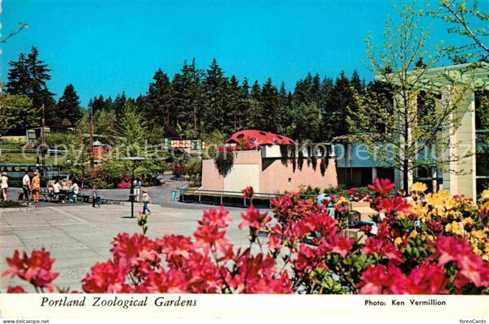 72812366 Portland_Oregon Zoological Gardens  - Sonstige & Ohne Zuordnung