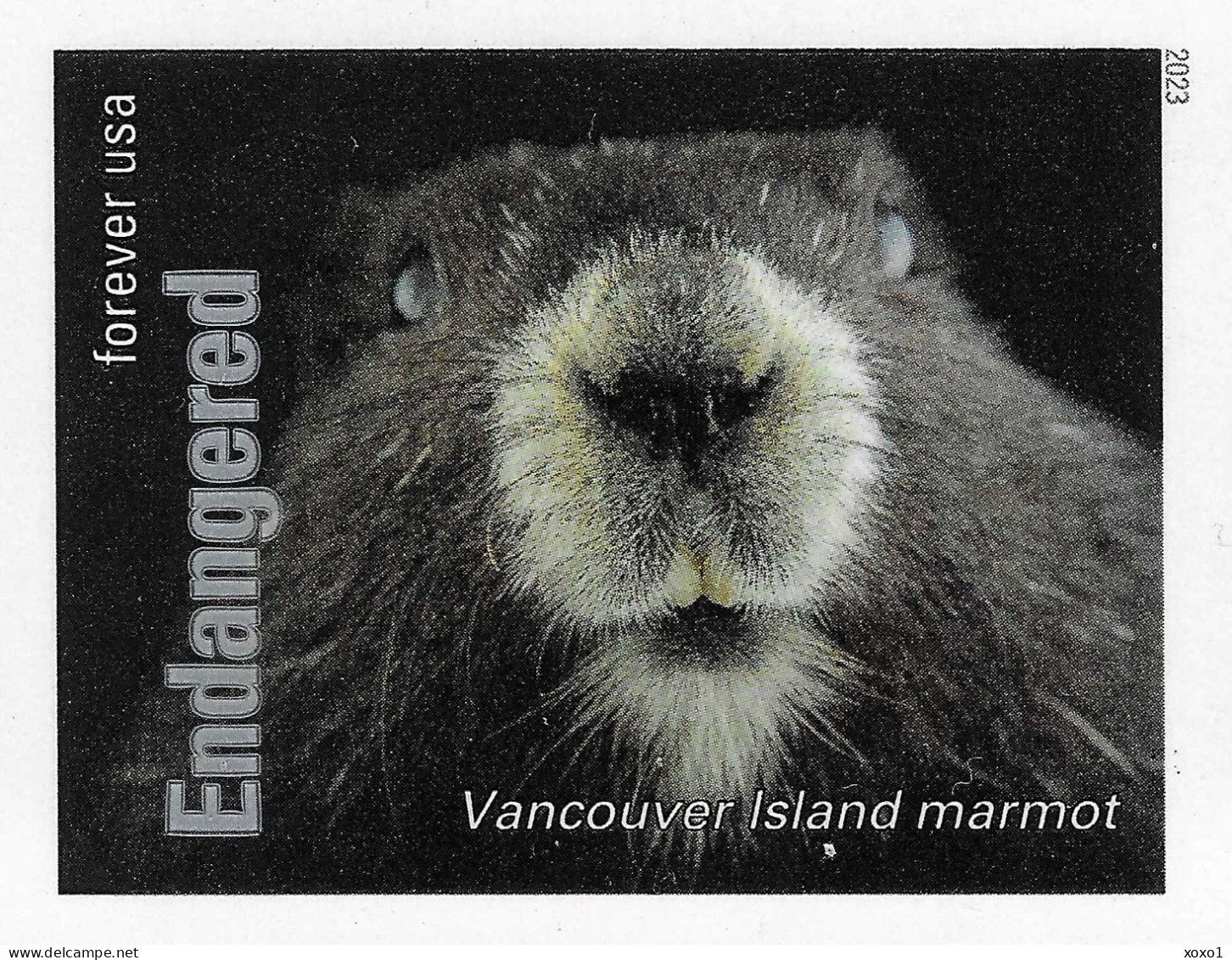 USA 2023 MiNr. 6062bb ND Endangered Species Mammals Vancouver Island Marmot (Marmota Vancouverensis) 1v MNH ** 2.50 € - Rodents