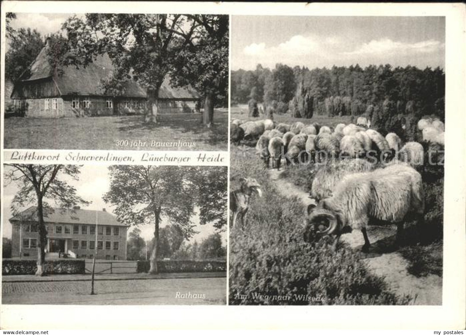 41553409 Schneverdingen Rathaus U.Bauernhaus Schneverdingen - Schneverdingen