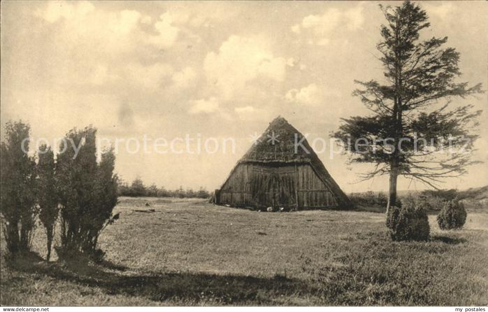 41553174 Lueneburger Heide Nieder-Haverbeck (Naturschutzgebiet) Walsrode - Walsrode