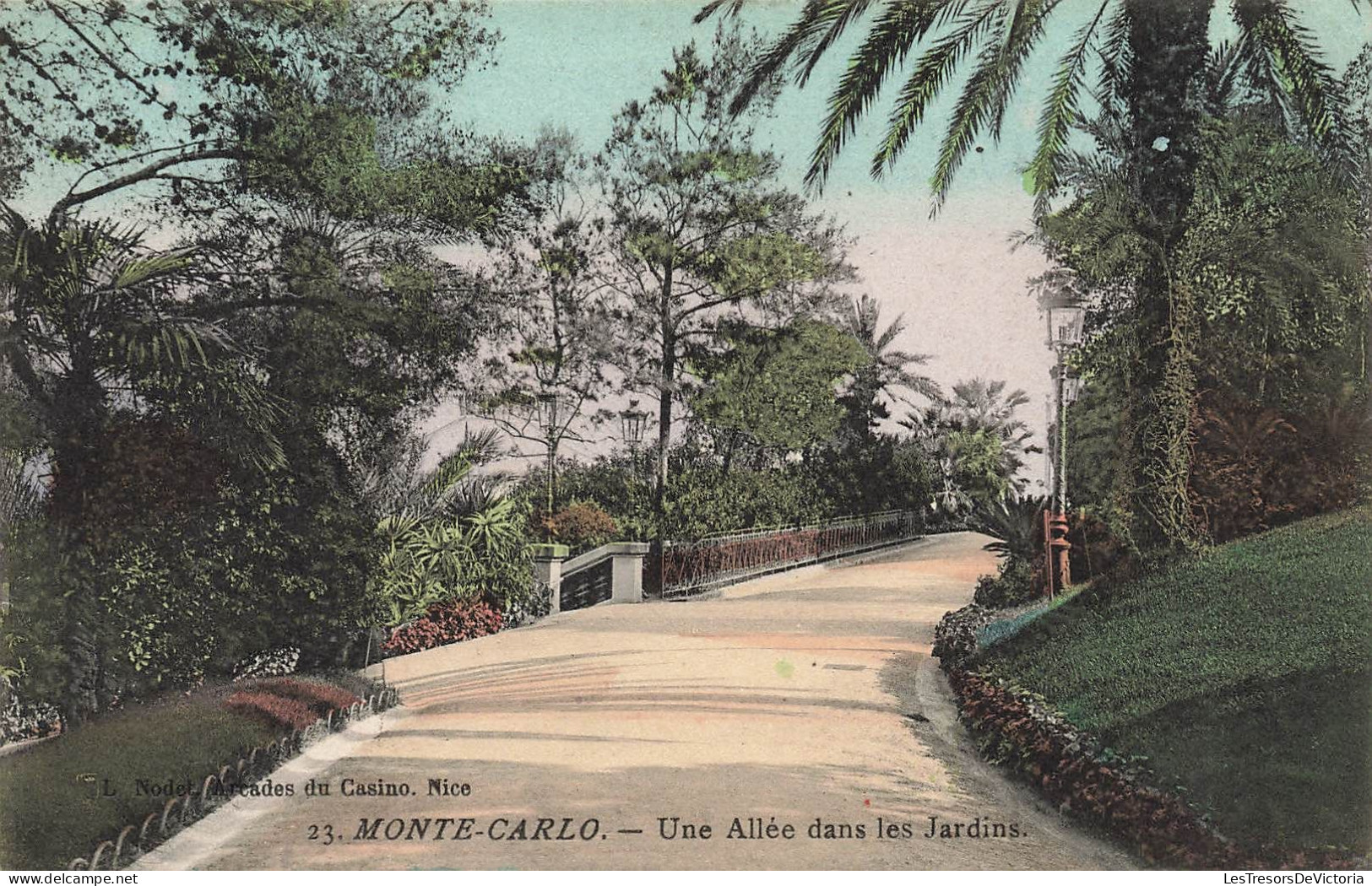 MONACO - Une Allée Dans Les Jardins - Colorisé - Palmiers - Carte Postale Ancienne - Monte-Carlo