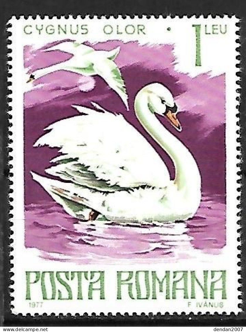 Romania - MNH ** 1977 :  Mute Swan  -  Cygnus Olor - Swans