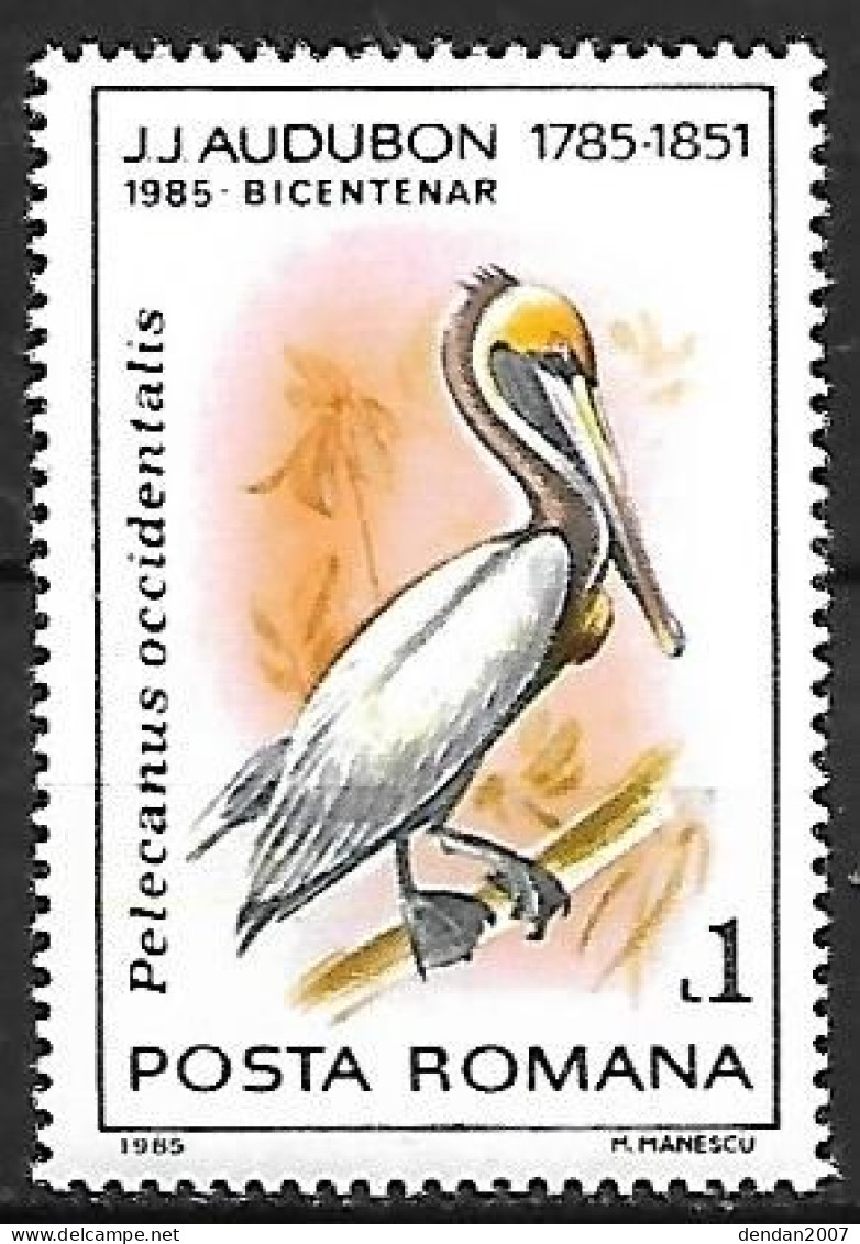 Rumania - MNH ** 1985 - Audubon :  Brown Pelican  -  Pelecanus Occidentalis - Pelikanen