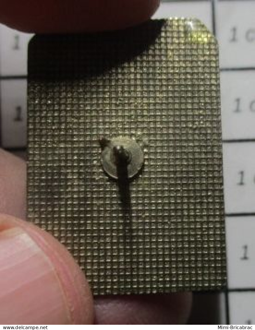 413B PINS PIN'S / Beau Et Rare : Thème POLICE / TOE TAG SHERIFF CORONER WARNING On Recherche éborgneurs Au LBD ! - Police