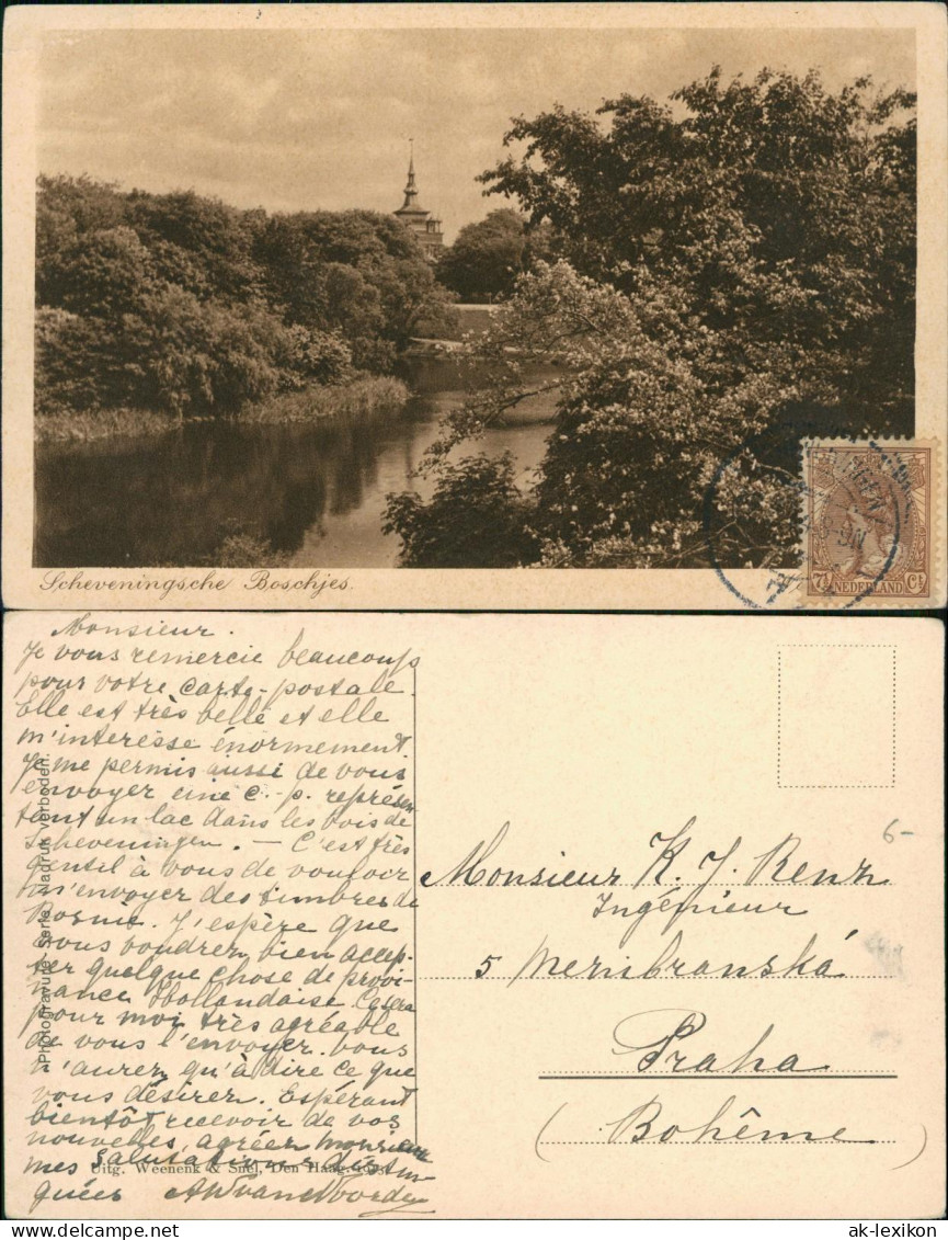 Postkaart Scheveningen-Den Haag Den Haag Scheveningsche Boschjes. 1924 - Scheveningen