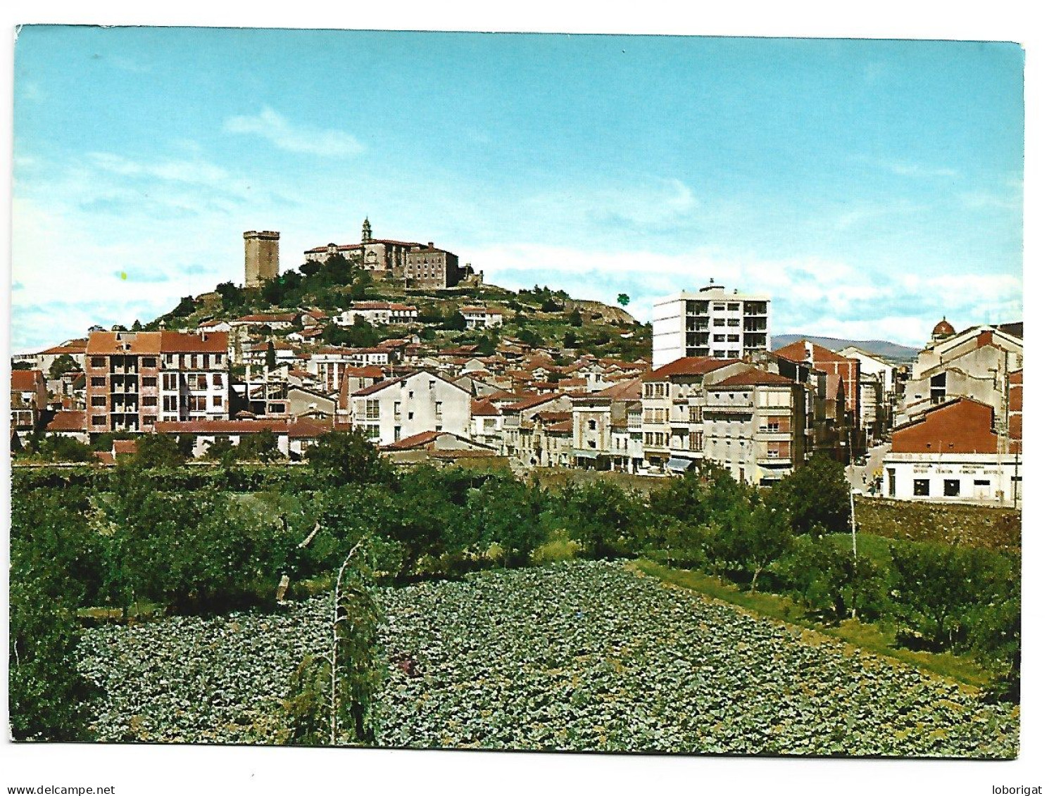 VISTA PANORAMICA / VUE PANORAMIQUE / PANORAMIC VIEW.- MONFORTE DE LEMOS - LUGO.- ( ESPAÑA). - Lugo