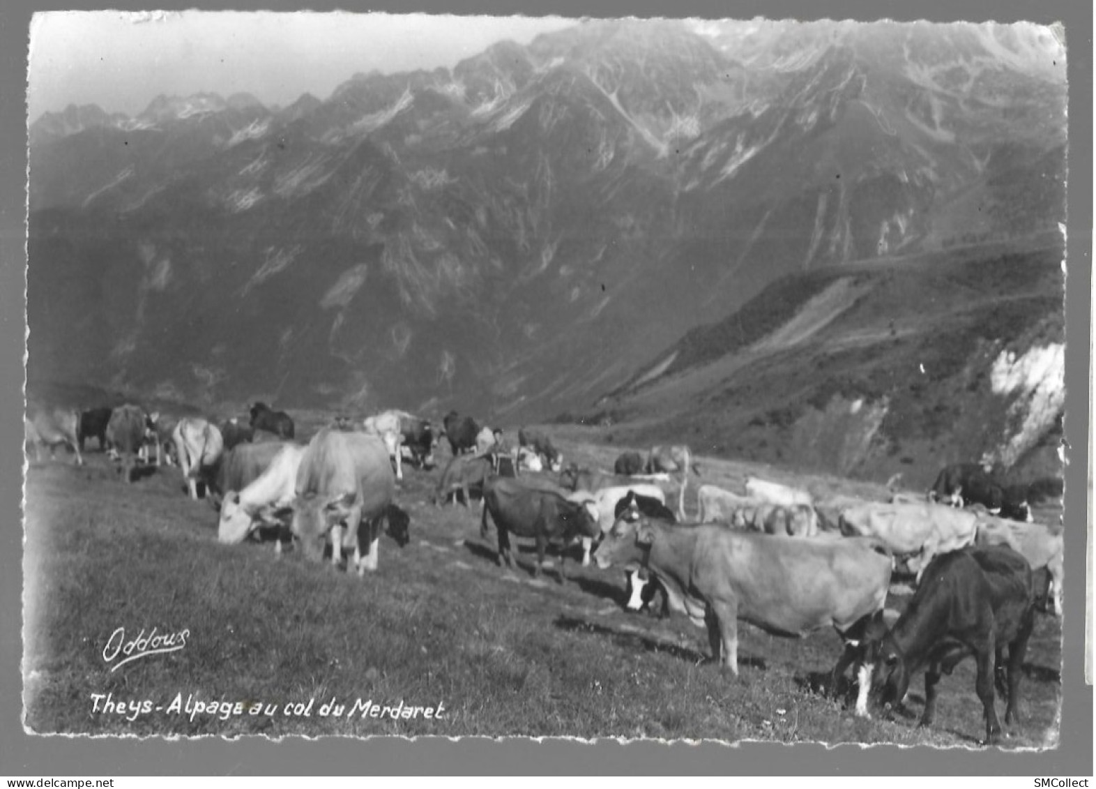 Theys, Alpage Au Col Du Merdaret. Carte Inédite (GF3596) - Theys