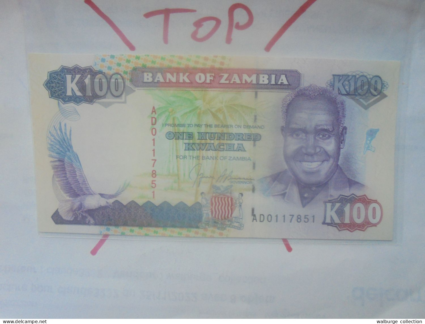 ZAMBIE 100 KWACHA 1991 Neuf (B.32) - Zambie