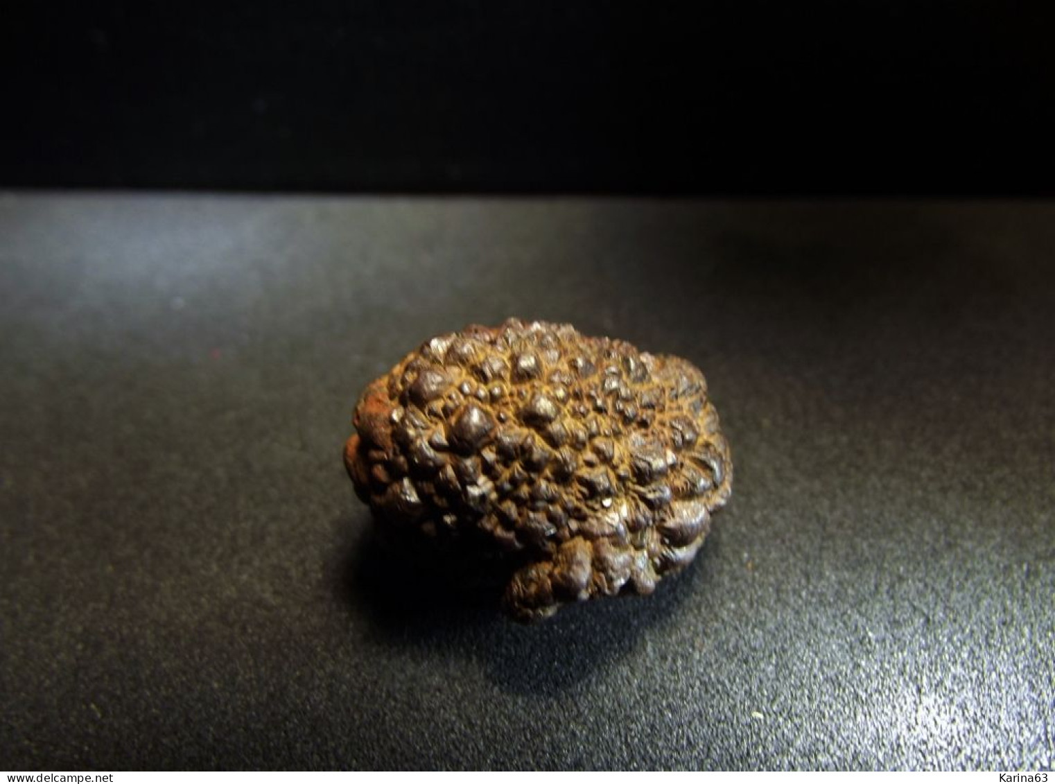 Marcassite Nodule ( 2.5 X 1.5 X 1.5 Cm) - Wimereux - Pas De Calais - France - Minéraux