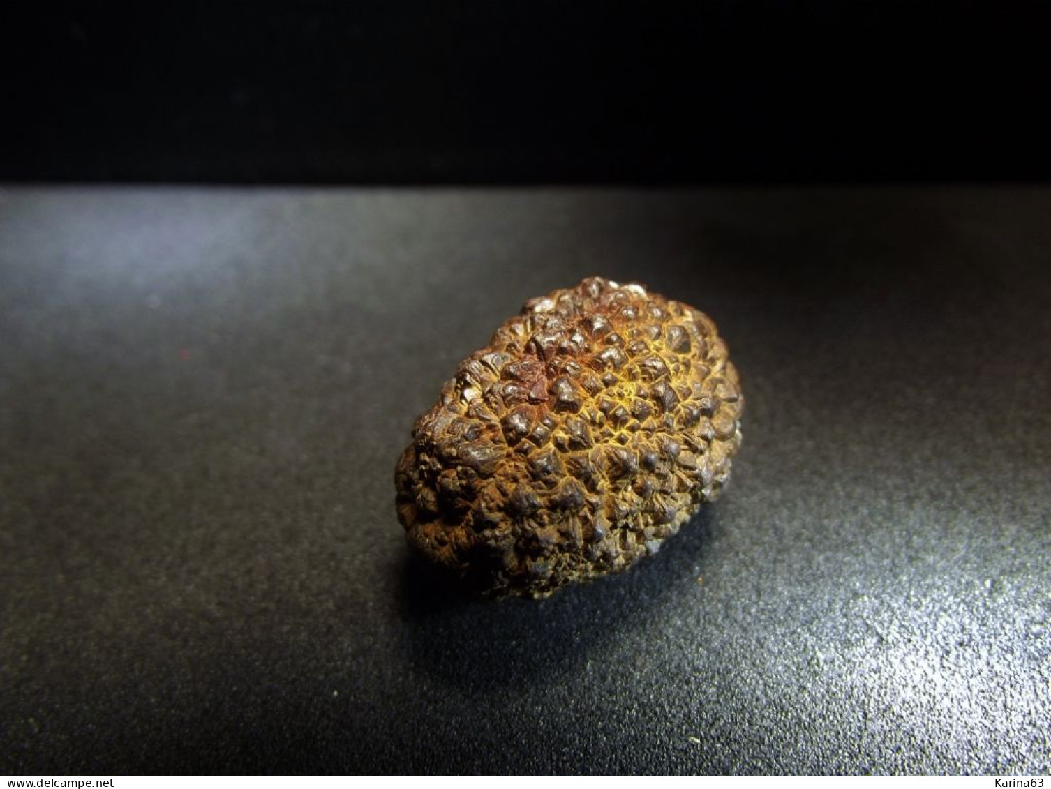 Marcassite Nodule ( 2.5 X 1.5 X 1.5 Cm) - Wimereux - Pas De Calais - France - Minerals