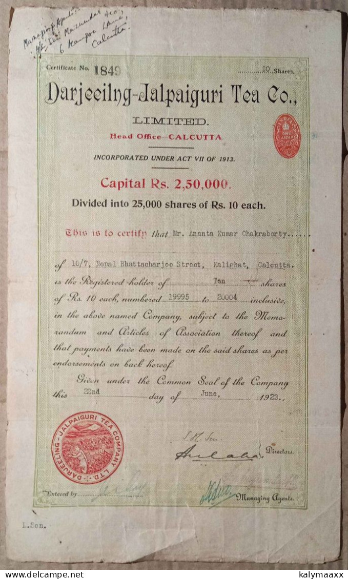 INDIA 1923 DARJEELING - JALPAIGURI TEA COMPANY LIMITED, TEA ESTATE....SHARE CERTIFICATE - Agricoltura