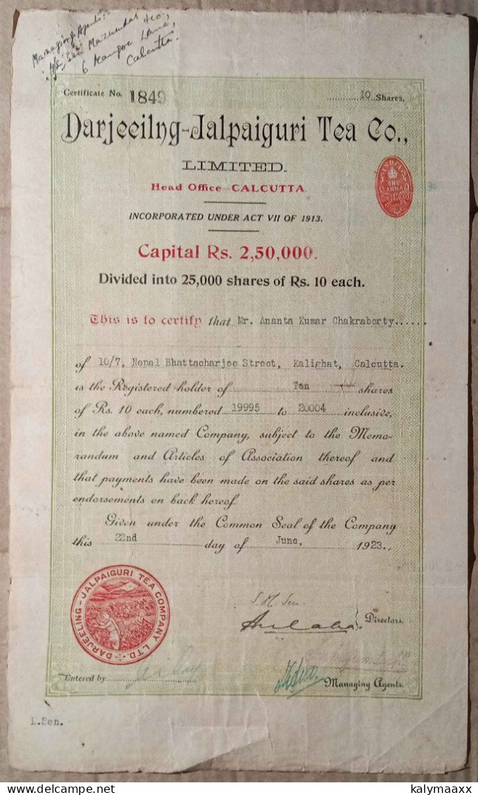 INDIA 1923 DARJEELING - JALPAIGURI TEA COMPANY LIMITED, TEA ESTATE....SHARE CERTIFICATE - Landbouw