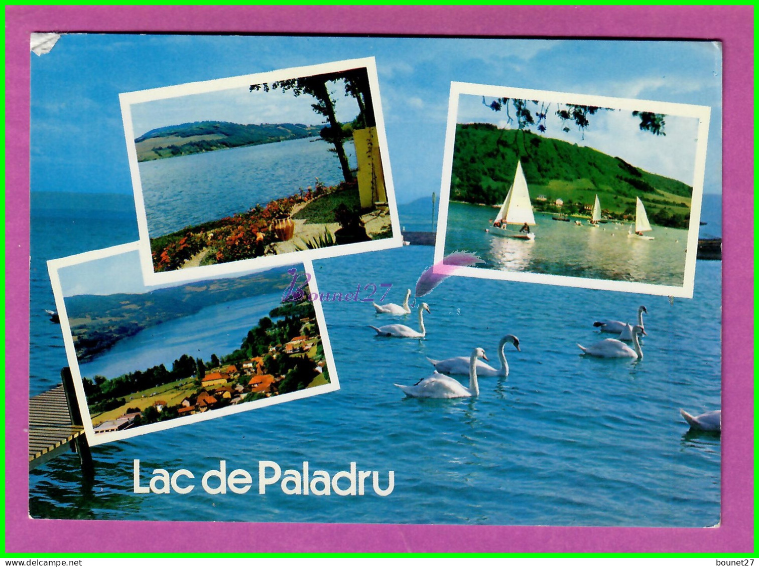 CPM PALADRU 38 - LE LAC DE PALADRU Plage Voilier Cygne Blanc Oiseau Bird - Paladru