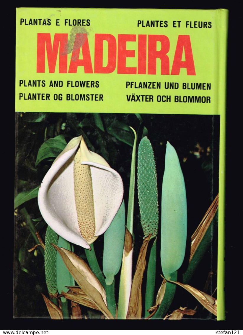 Madeira - Fleurs - L.O Franquinho - A.Da Costa - 1990 - 21,4 X 14,5 Cm - Enciclopedias