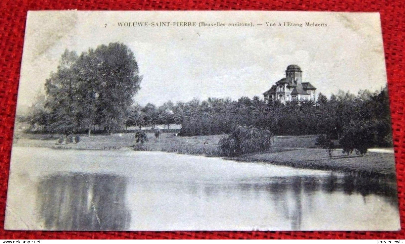 WOLUWE SAINT PIERRE -  Vue à L' Etang Mellaerts - Woluwe-St-Pierre - St-Pieters-Woluwe