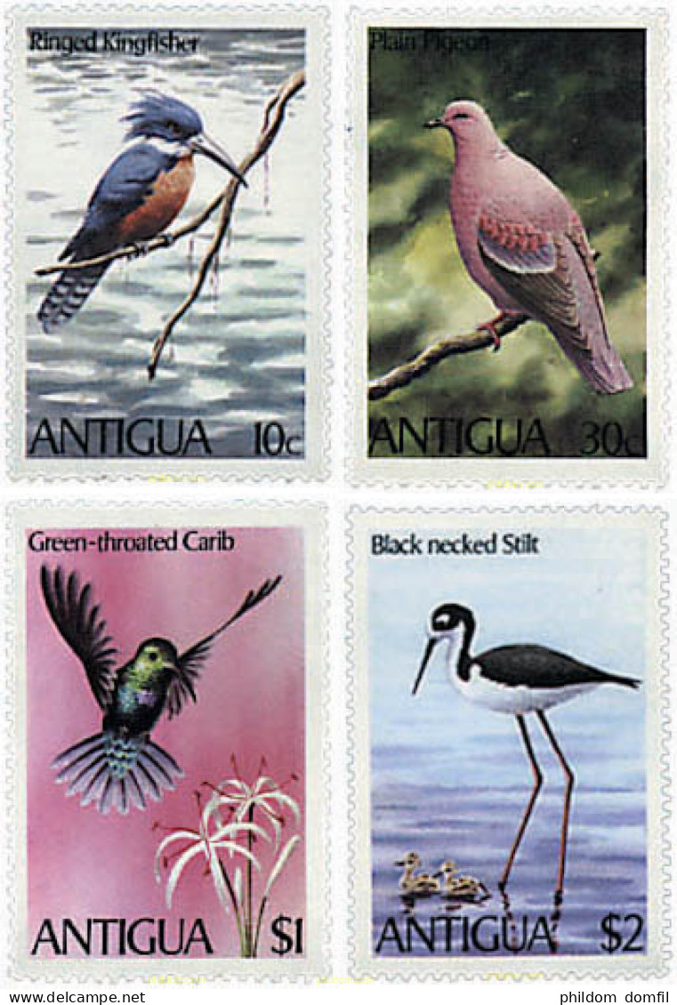 46700 MNH ANTIGUA 1980 AVES - Sonstige & Ohne Zuordnung