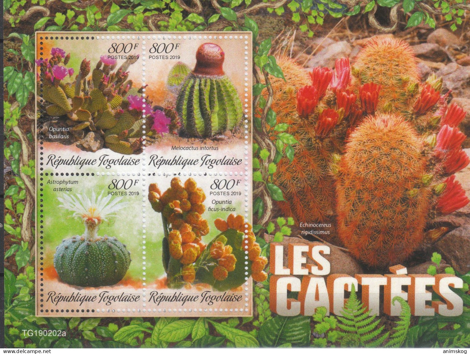 Togo 2019**, Kakteen / Togo 2019, MNH, Cacti - Sukkulenten