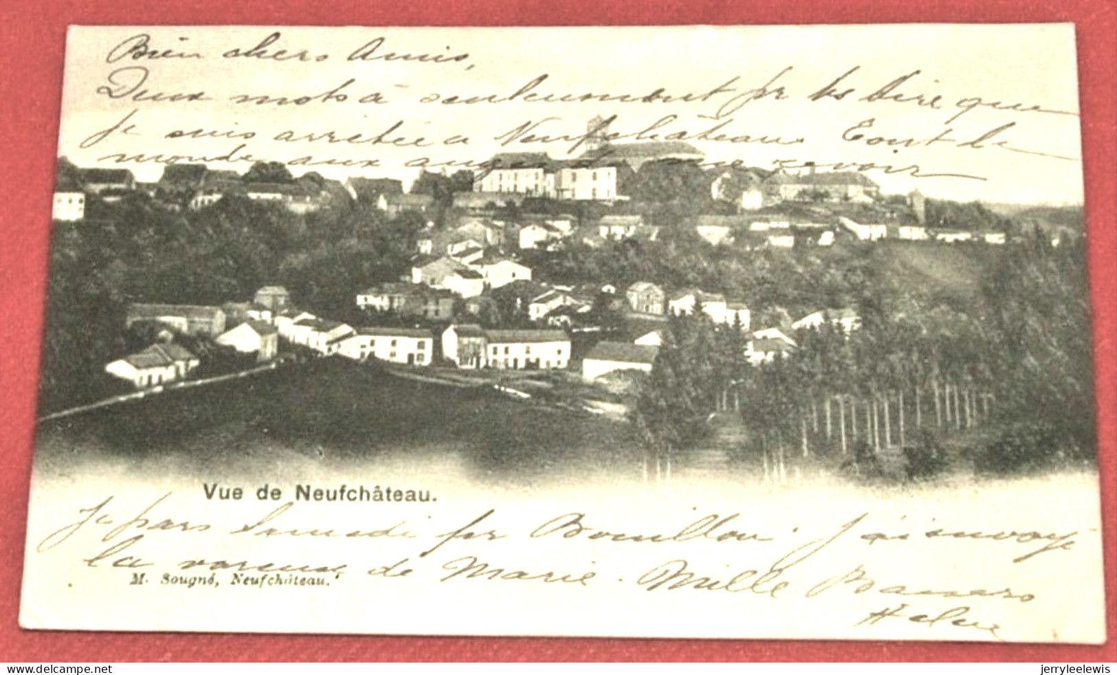 NEUFCHÂTEAU  -  Vue De Neuchâteau  -  1903  - - Neufchâteau