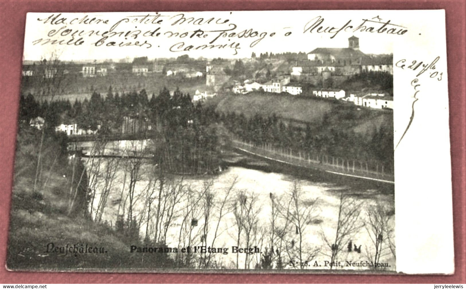 NEUFCHÂTEAU  -  Panorama Et L'Etang Bergh  -  1903  - - Neufchateau