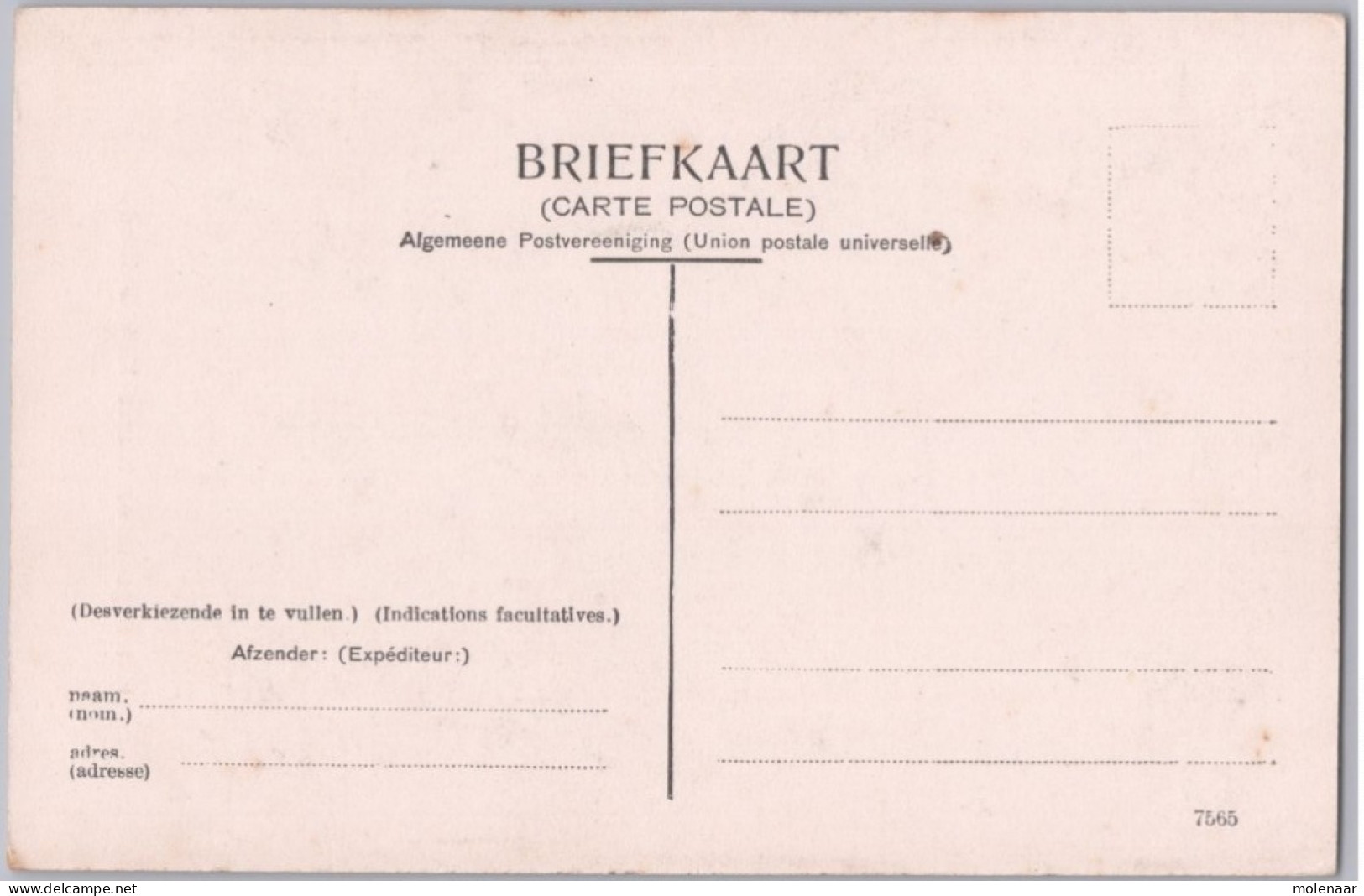 Postkaarten > Europa > Nederland > Noord-Brabant > Breda Het Orgel Van De Grote Kerk Ongebruikt (14863) - Breda