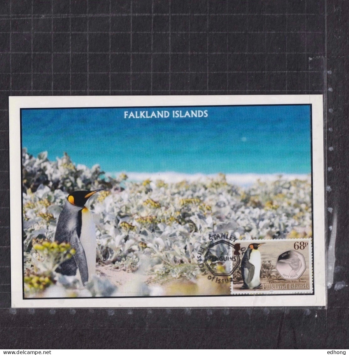 [Carte Maximum / Maximum Card /  Maximumkarte] 2 X Falkland Islands 2020 | Penguin Coins - King  & Macaroni Penguin - Pingouins & Manchots