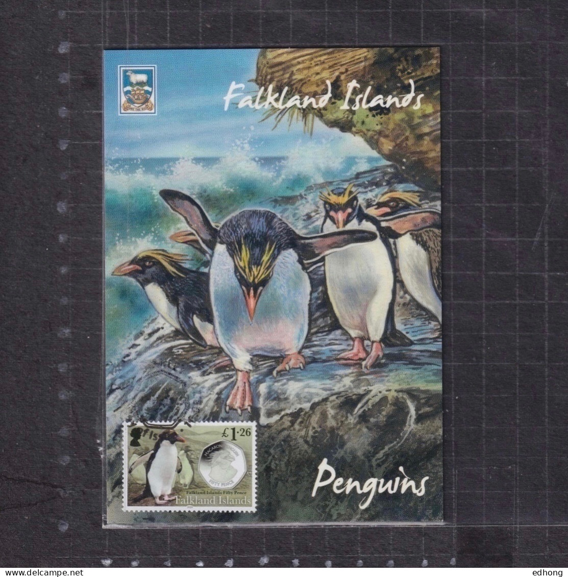 [Carte Maximum / Maximum Card /  Maximumkarte] 2 X Falkland Islands 2020 | Penguin Coins - King  & Macaroni Penguin - Pinguine