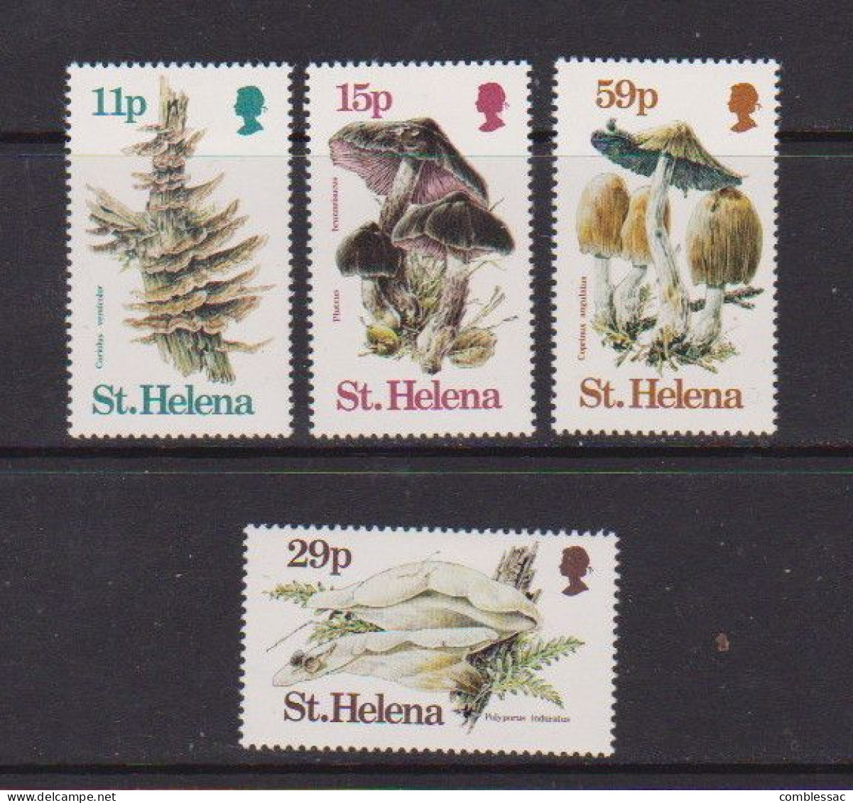 SAINT HELENA    1983    Fungi    Set  Of  4     MH - Saint Helena Island