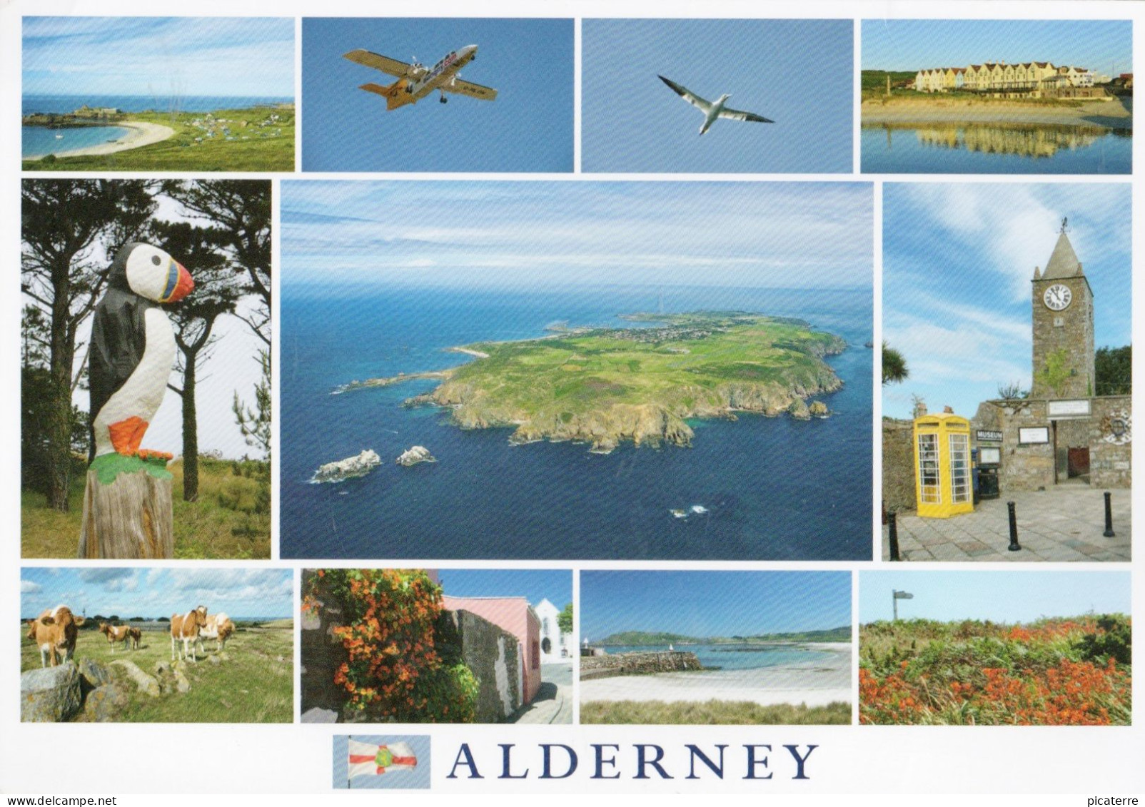 ALDERNEY, Channel Islands- Multiview With Aerial Pic, Puffin, Gannet, Cattle Etc.- Ald 24- Chris Andrews - Alderney