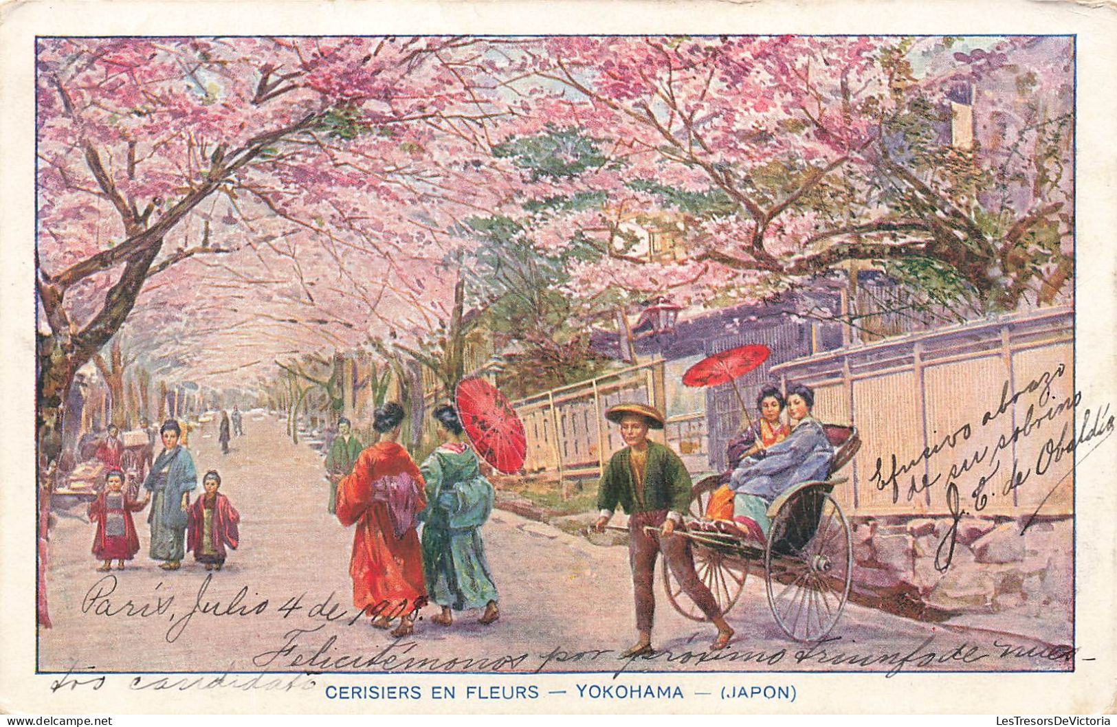 JAPON - Yokohama - Cerisiers En Fleurs - Carte Postale Ancienne - Yokohama