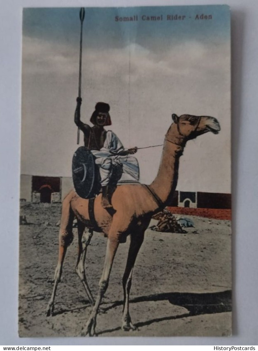 Aden, Somali Camel Rider, Somalischer Krieger, Jemen, 1920 - Yémen