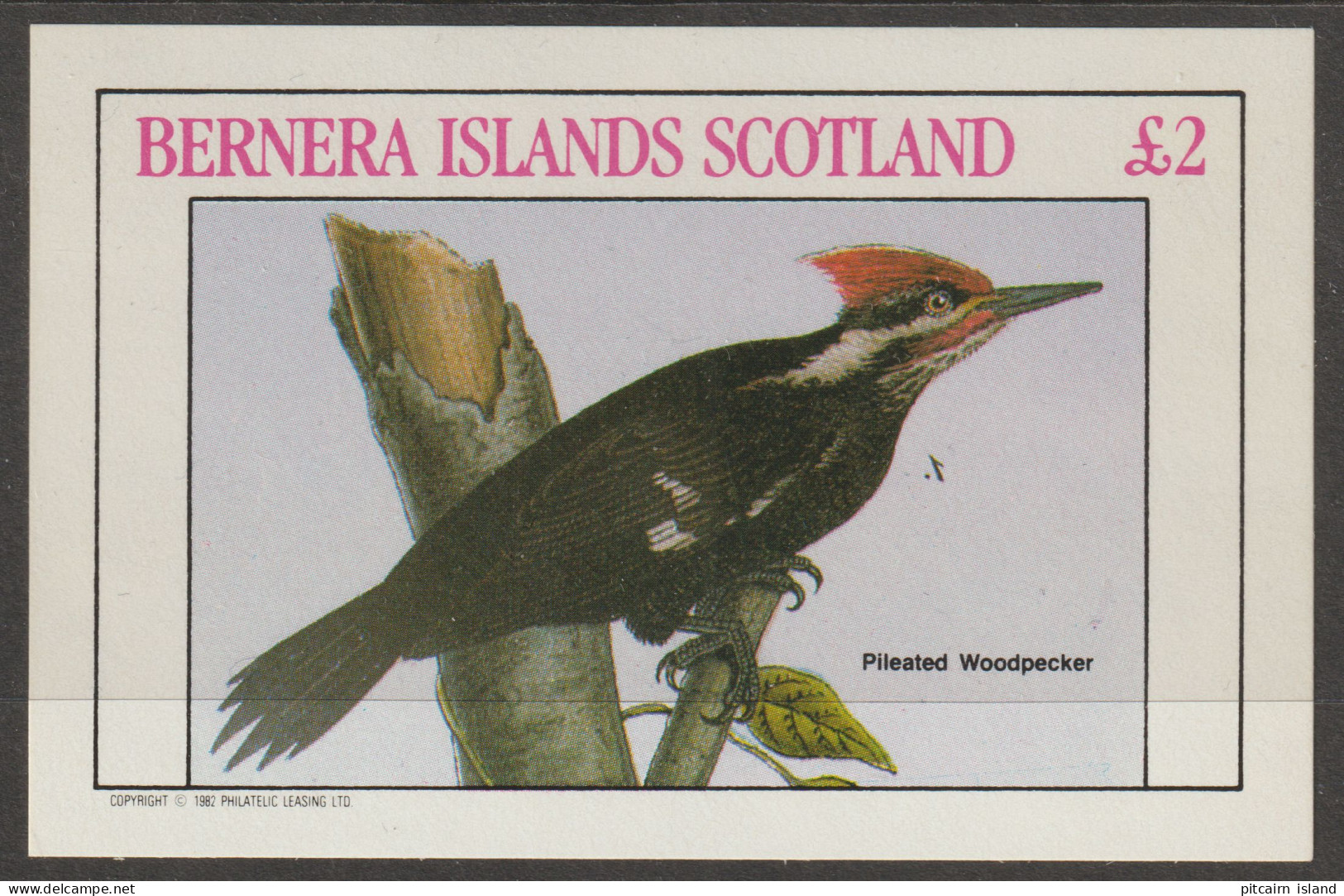 Bernera  Islands Scotland 1982  Nr. 1207  MNH  Woodpecker    - Lokale Uitgaven