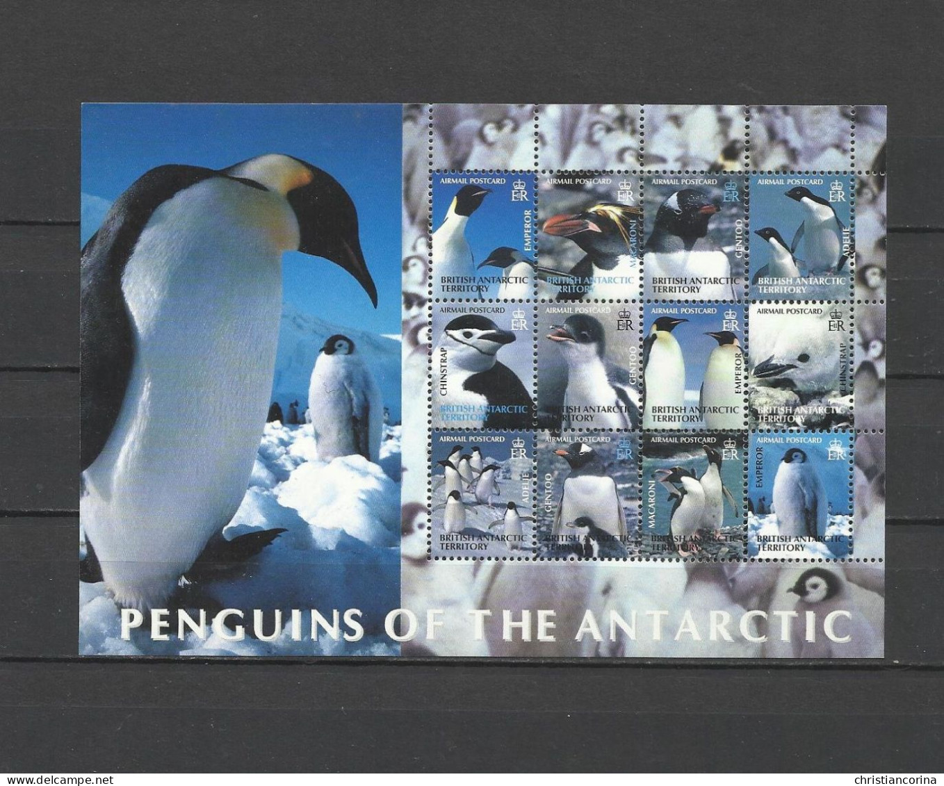 BRITISH ANTARCTIC TERRITORY BAT 2004 PENGUINS - Ungebraucht