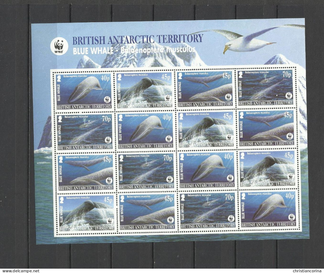 BRITISH ANTARCTIC TERRITORY BAT 2004 WWF WHALES - Unused Stamps
